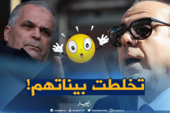 شجار جزائري على الأراضي الإماراتية !
