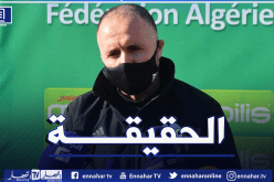 بلماضي يُوجّه رسالة للجميع: “هذا المنتخب لا يزال بإمكانه التطور”