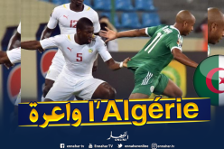 لمين غاساما: ” الجزائر من أقوى منتخبات إفريقيا وستكون مرشحة لتتويج”