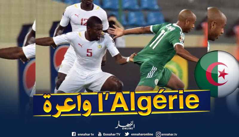 لمين غاساما: ” الجزائر من أقوى منتخبات إفريقيا وستكون مرشحة لتتويج”