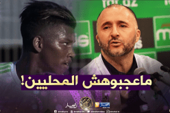 بلماضي غير مقتنع بالمحليين وبوداوي يحفظ ماء الوجه