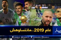 سنة 2019 الأفضل رياضيا في تاريخ المنتخب الوطني