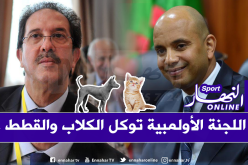 بالوثائق.. طعام للكلاب.. حذاء نسائي وخمور ضمن مصاريف اللجنة الأولمبية!