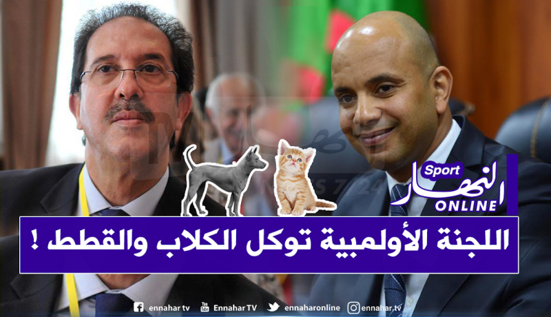 بالوثائق.. طعام للكلاب.. حذاء نسائي وخمور ضمن مصاريف اللجنة الأولمبية!