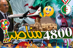 بدوي يصدر قرار  تخصيص 28 طائرة لنقل الأنصار إلى القاهرة !