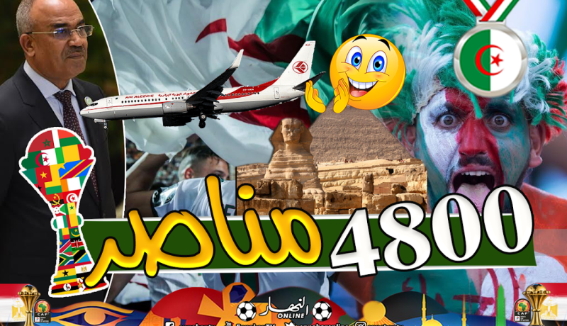 بدوي يصدر قرار  تخصيص 28 طائرة لنقل الأنصار إلى القاهرة !