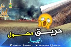 غليزان .. حريق يتلف أزيد من 60 هكتارا من محصول الشعير ببلدية منداس