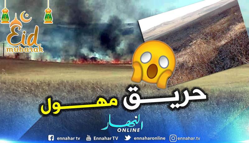 غليزان .. حريق يتلف أزيد من 60 هكتارا من محصول الشعير ببلدية منداس
