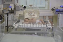 أكثر من مليون مولود جديد سنويا