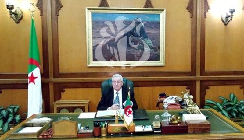 بن صالح يستلم أوراق إعتماد 10 سفراء جدد بالجزائر