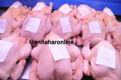 حجز 613 كلغ من الدجاج الفاسد بالبيّض