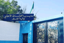 الشلف: مقيمان بمؤسسة الطفولة المسعفة يتحصلان على شهادة البكالوريا