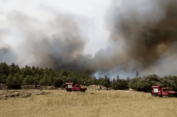 وزارة الفلاحة: تجنيد كل الإمكانيات لمواصلة إخماد الحرائق التي اندلعت بولاية خنشلة