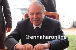 بوتفليقة: الجزائر صامدة رغم فقدانها لنصف مداخيلها الخارجية