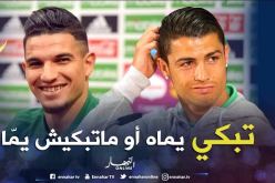 فرحات يرد على الساخرين ويعود للخضر من أوسع الأبواب