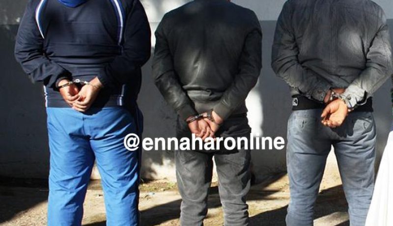 توقيف 3 أشخاص وحجز 8 قناطير من البطاطا مسروقة في قالمة
