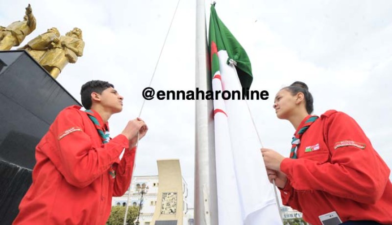 الكشافة تنشئ 48 ناديا للبيئة عبر الوطن