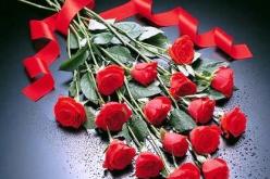 نصفك الآخر بإنتضارك والنهار تساعدك على ذلك