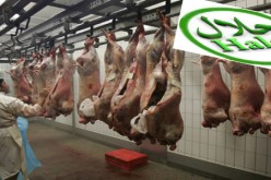 مطالب بالضغط على أوروبا للتصدي لقانون منع الذبح الحلال