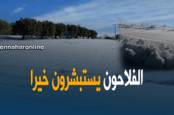 بالفيديو.. الأراضي الفلاحية بأعالي معسكر تكتسي الحلّة البيضاء