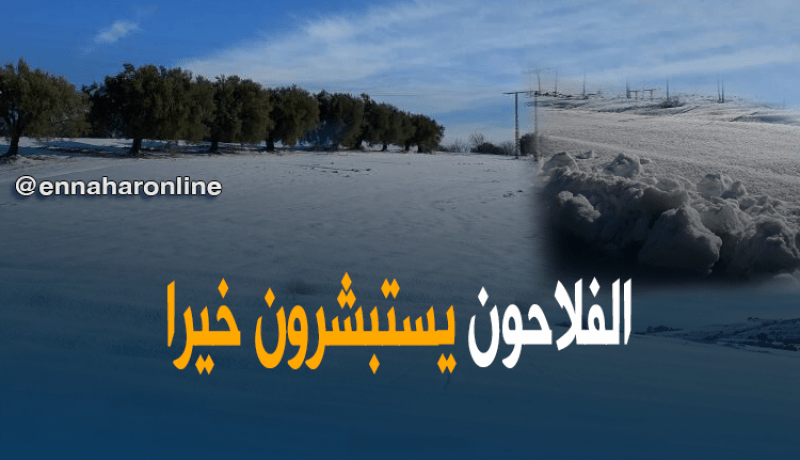 بالفيديو.. الأراضي الفلاحية بأعالي معسكر تكتسي الحلّة البيضاء