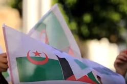 بالفيديو… أطفال فلسطين يغنون للثورة الجزائرية