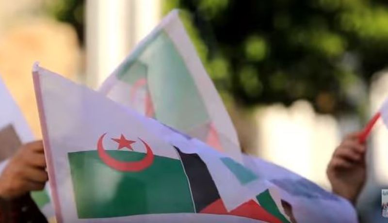 بالفيديو… أطفال فلسطين يغنون للثورة الجزائرية