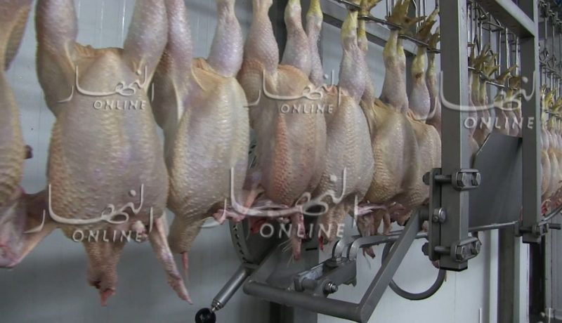 حجز 40 قنطار من اللحوم البيضاء بغليزان