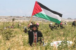 جيش الاحتلال الإسرائيلي  يطلق النار على مزارعين فلسطينيين جنوب غزة