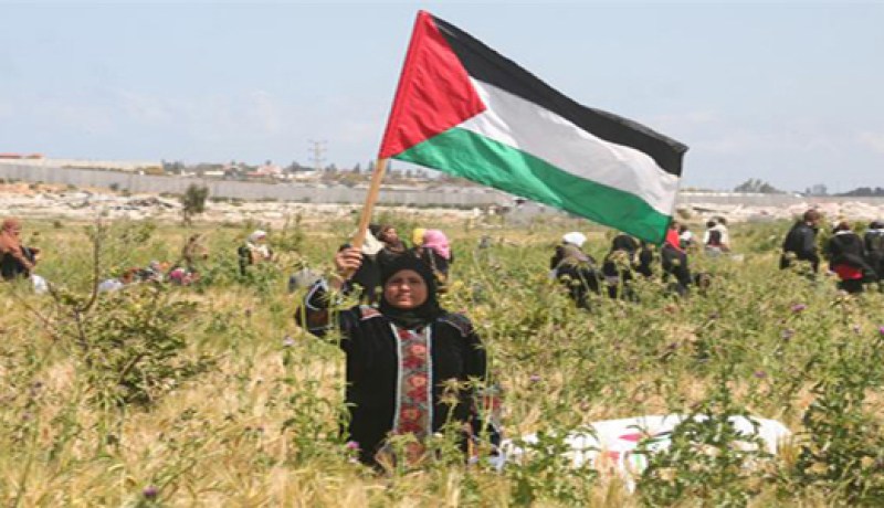 جيش الاحتلال الإسرائيلي  يطلق النار على مزارعين فلسطينيين جنوب غزة