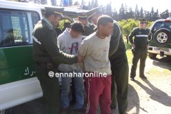 القبض على شخصين تورطا في سرقة الماشية بتيزي وزو