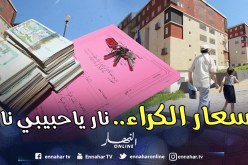 رئيسة فيدرالية الوكالات العقارية لـالنهار: «مليــون زيــادات فــي أسعــار كــراء الشقــق» 