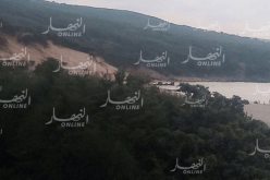بالصور..نفوق دلفين بشاطئ العوينات في القالة