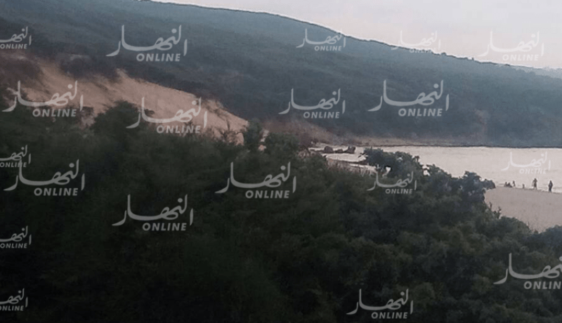 بالصور..نفوق دلفين بشاطئ العوينات في القالة