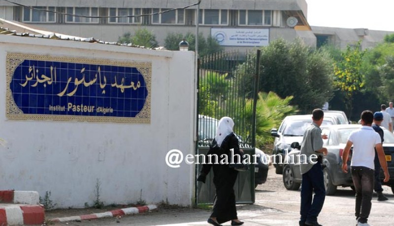 مدير معهد باستور: لا وجود لأية حالة وفاة بسبب أنفلونزا الخنازير بالجزائر