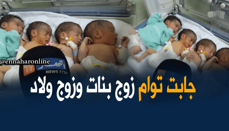 بالفيديو.. أم تضع أربعة توائم بصحة جيدة في سيدي بلعباس