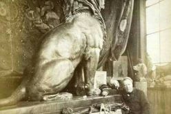 هل تعرف من نحت الأسدّين بمدخل بلدية وهران؟