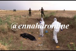 كهل يقتل آخر بالرصاص ويوهم المحققين بوجود اعتداء إرهابي في تيبازة