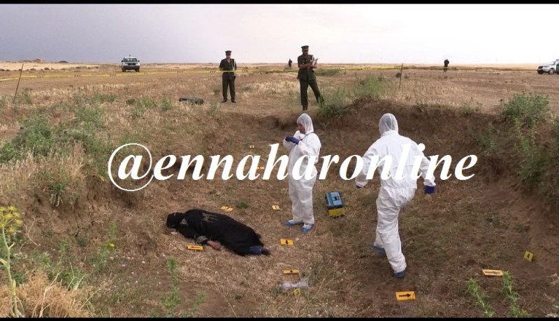 كهل يقتل آخر بالرصاص ويوهم المحققين بوجود اعتداء إرهابي في تيبازة