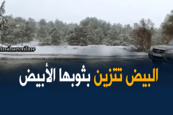 بالفيديو.. تساقط كثيف للثلوج بالبيض