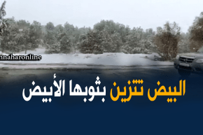 البيض : تساقط الثلوج بكثافة على مدينة البيض وماجاورها