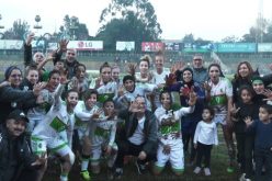 بالفيديو.. هكذا كانت فرحة شُبليات الخضر بعد تأهلهن لكان 2018