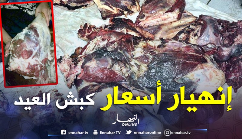 «تعفّن لحوم الأضاحي لن يتكرر وأسعارها ستكون معقولة»