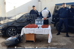 عنابة: توقيف شخص وحجز 7,9 كلغ من المرجان الأحمر