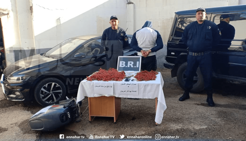 عنابة: توقيف شخص وحجز 7,9 كلغ من المرجان الأحمر