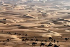 سنة 2014 أكثر الأعوام حرا على وجه الأرض