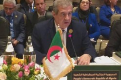 رابحي: الثقافة تساهم في تعميق التماسك المجتمعي في دول العالم الإسلامي