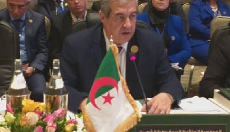 رابحي: الثقافة تساهم في تعميق التماسك المجتمعي في دول العالم الإسلامي