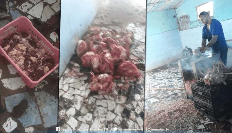 حجز 3 قناطير من الدجاج مذبوح بطريقة غير شرعية بعين تموشنت