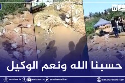 نفوق 25 كبش بعد تسميمهم من طرف مجهولين في سوق الدويرة